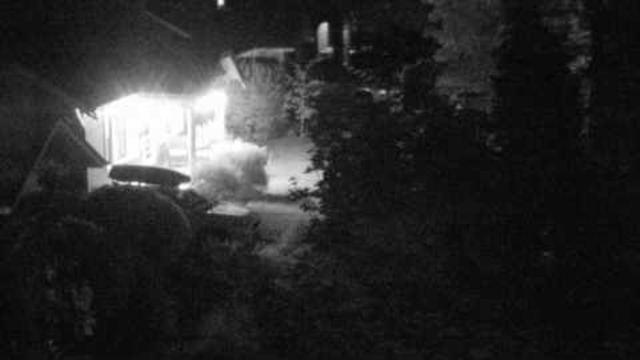 Live webcam screenshot